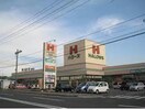 ハローズ新涯店(スーパー)まで1725m サニー・ハイフラット