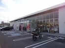 TSUTAYA新涯店(ビデオ/DVD)まで1479m ベルローズＡ