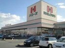 ハローズ新涯店(スーパー)まで436m デスパシオ