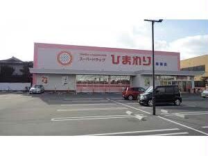 スーパードラッグひまわり新涯店(ドラッグストア)まで505m メゾン千代田