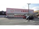 スーパードラッグひまわり新涯店(ドラッグストア)まで505m メゾン千代田
