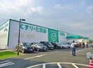 ザグザグ多治米店(ドラッグストア)まで621m グリーンルーフ沖野上