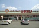 スーパードラッグひまわり神辺店(ドラッグストア)まで381m ブライト・ガーデンＡ