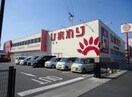 ププレひまわり蔵王店(ドラッグストア)まで727m ローズエスペランサ