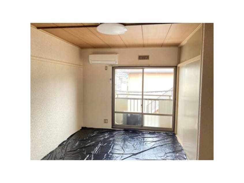  パナハイツクラタ　B