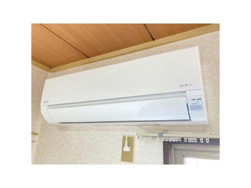  パナハイツクラタ　B