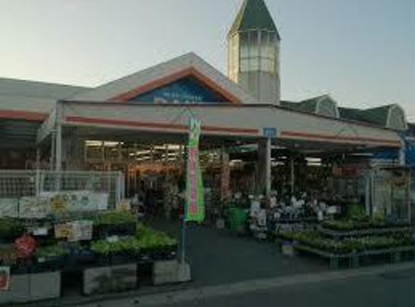 DCMダイキ北吉津店(電気量販店/ホームセンター)まで1509m ＪＯＤＥＮ