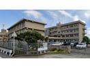 福山市立城東中学校(中学校/中等教育学校)まで848m エルディム桃李