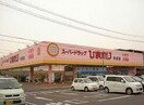 スーパードラッグひまわり本庄店(ドラッグストア)まで414m メルヴェーユ