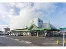 なかやま牧場ハート新徳田店(スーパー)まで876m メゾン・ド・キャトル　Ⅳ（4）