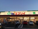 業務スーパーエブリイ蔵王店(スーパー)まで695m サニープレイス（南蔵王）