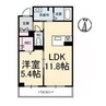 シャラーレ西深津 1LDKの間取り