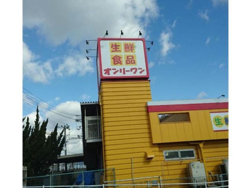 生鮮食品オンリーワン千田店(スーパー)まで598m ミラヴィルタス　西棟