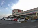 ハローズ南松永店(スーパー)まで633m プレジール岡本　A棟