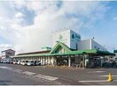 なかやま牧場ハート新涯店(スーパー)まで306m D-roomC　V