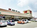 ハローズ新涯店(スーパー)まで1085m D-roomC　V