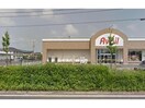 アベイル新涯店(ショッピングセンター/アウトレットモール)まで767m D-roomC　V