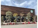 スターバックスコーヒー福山多治米店(その他飲食（ファミレスなど）)まで736m オッツ多治米