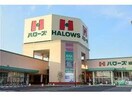 ハローズ緑町店(スーパー)まで735m シック・シャンブル