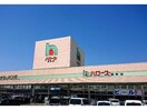 ハローズ御幸店(スーパー)まで849m プラシードＳ