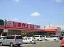 スーパードラッグひまわり御幸店(ドラッグストア)まで1161m プラシードＡ