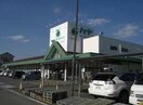 なかやま牧場ハート新徳田店(スーパー)まで1613m 鳳鳴館　Ⅱ棟