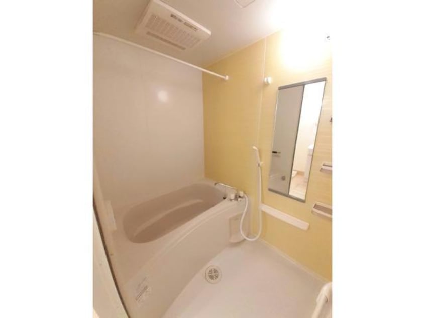  エヴァーグリーンＡ