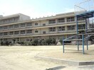 福山市立瀬戸小学校(小学校)まで844m ルークス瀬戸　Ｃ棟