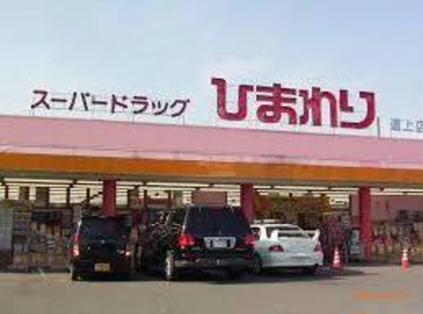 スーパードラッグひまわり道上店(ドラッグストア)まで669m トワ　アムール　C棟