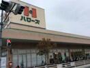 ハローズ手城店(スーパー)まで1017m フォレストコート明神Ⅱ