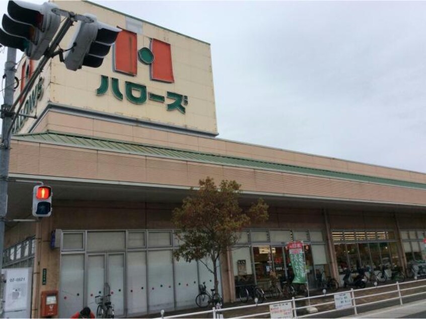 ハローズ手城店(スーパー)まで1017m フォレストコート明神Ⅱ
