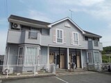 ゴールドクレスト藤井