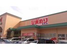 スーパードラッグひまわり緑町店(ドラッグストア)まで1144m フレッチェ・ボスコⅢ（3）