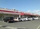 業務スーパーエブリイ川口店(スーパー)まで1033m グリーンハイム（東川口町）