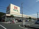 ハローズ東福山店(スーパー)まで926m カジシマハイツ
