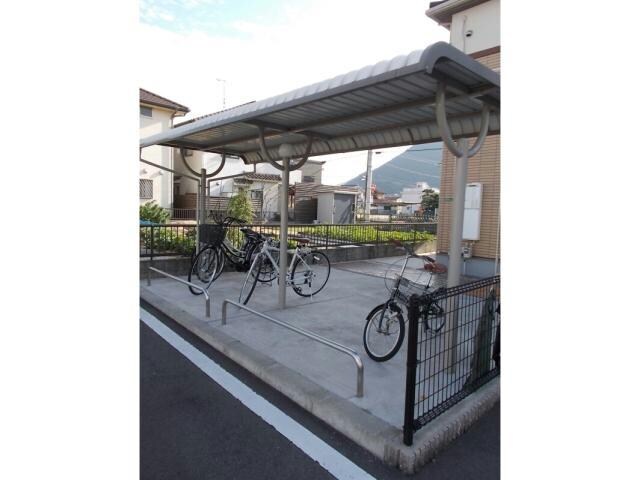  フィールド・サンC