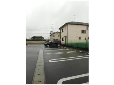  フィールド・サンC