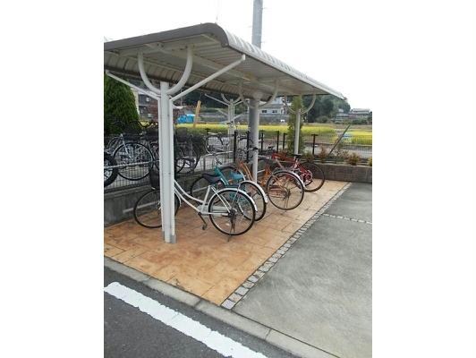  エバーグレイス