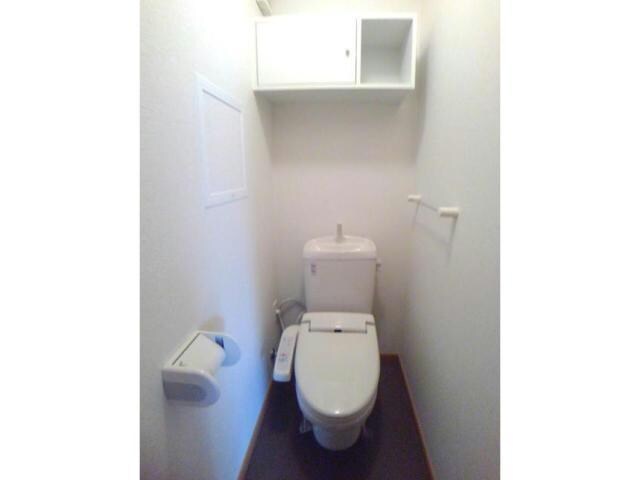  エバーグレイス