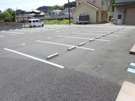  RANUNCULUS  A（ラナンキュラス）