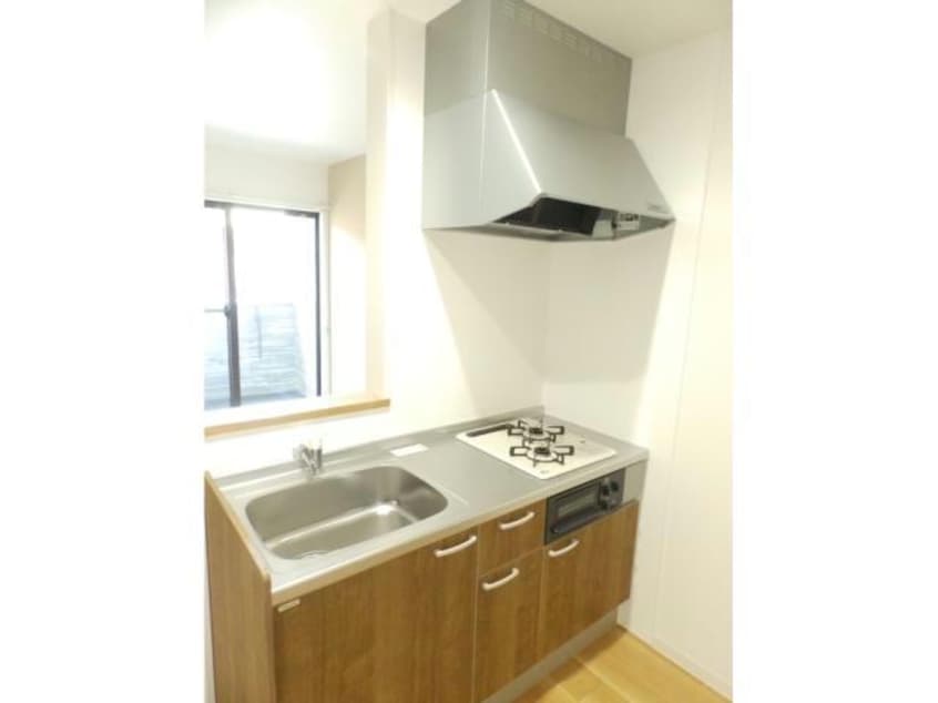  RANUNCULUS  A（ラナンキュラス）