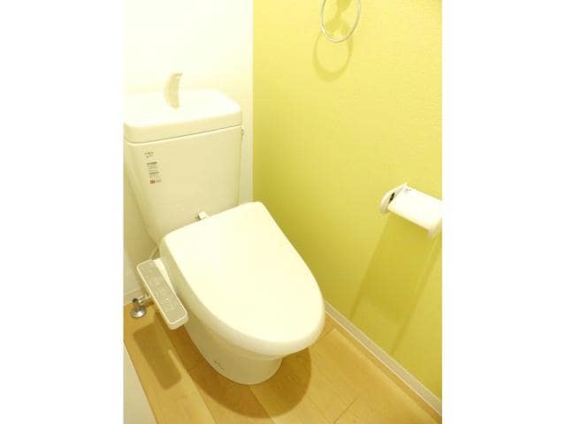  RANUNCULUS  A（ラナンキュラス）