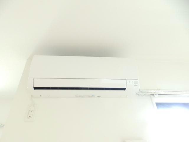  RANUNCULUS  A（ラナンキュラス）