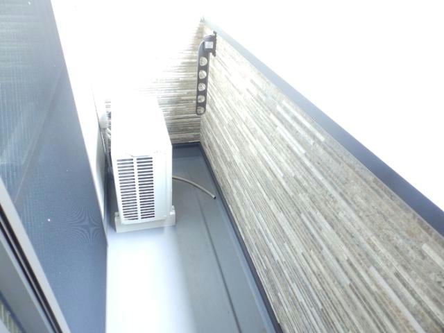  RANUNCULUS  A（ラナンキュラス）