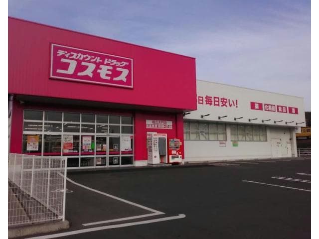 ディスカウントドラッグコスモス福山大門店(ドラッグストア)まで707m RANUNCULUS  A（ラナンキュラス）
