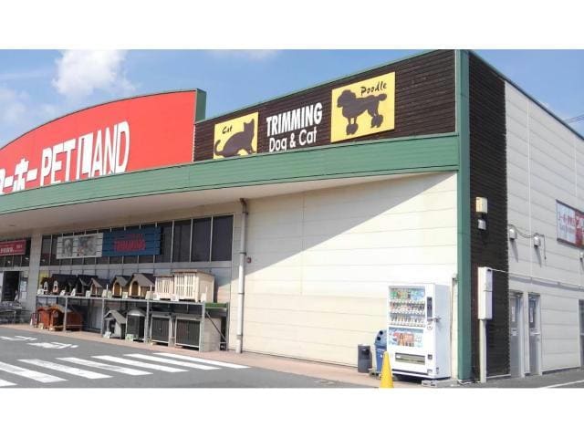 ホームセンターユーホー伊勢丘店(電気量販店/ホームセンター)まで2583m RANUNCULUS  A（ラナンキュラス）