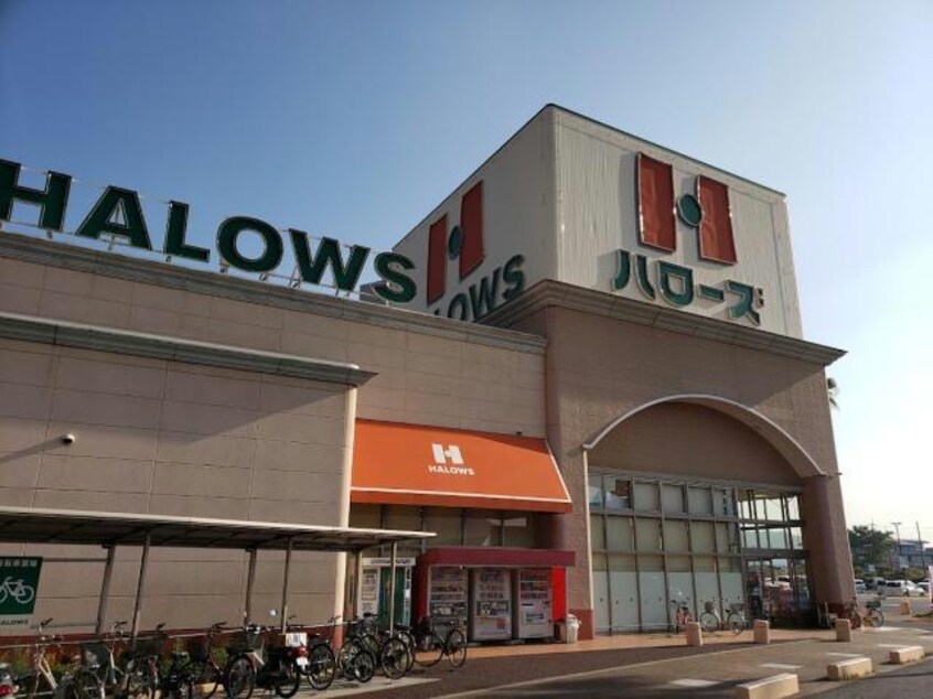 ハローズ水呑店(スーパー)まで729m グランドゥールあおば　A
