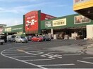 ホームセンターユーホー緑町店(電気量販店/ホームセンター)まで1355m 第二 ファミール