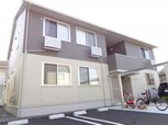 D-room黄葉