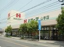ハローズ山手店(スーパー)まで566m ノースカントリーＢ